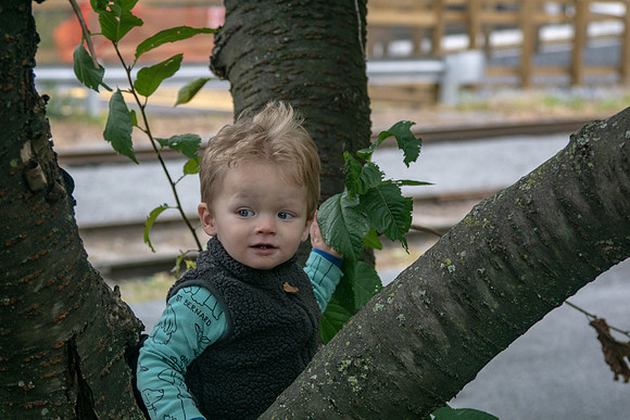 20181020-DSC03014