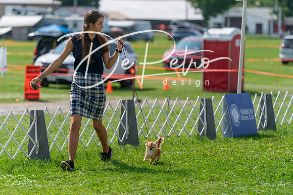 20240816-DSC00476