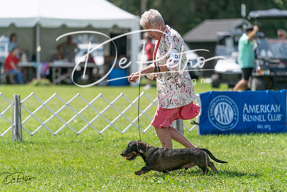 20240630-DSC02386