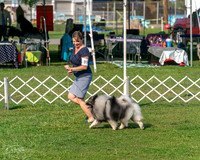 20240913-DSC00076