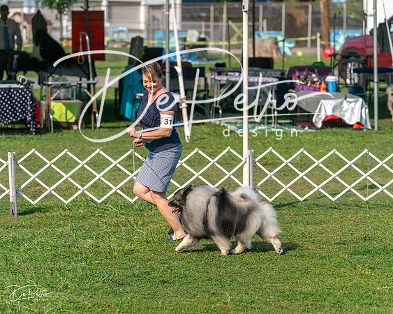 20240913-DSC00076