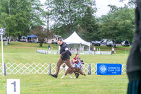 20250626-DSC02634