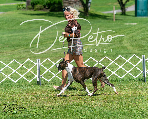 20250629-DSC09788