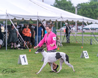 20250626-DSC04361