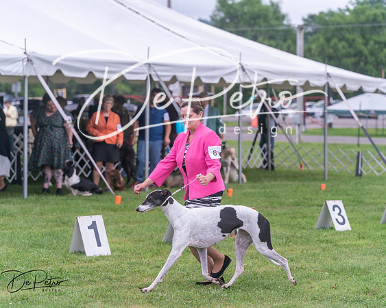 20250626-DSC04361