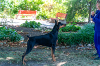 20250831-DSC07658
