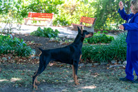 20250831-DSC07657