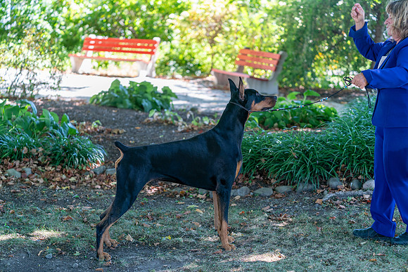 20250831-DSC07657