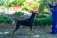 20250831-DSC07656