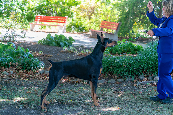 20250831-DSC07656