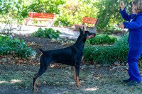 20250831-DSC07655