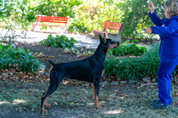 20250831-DSC07654
