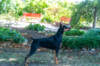 20250831-DSC07663