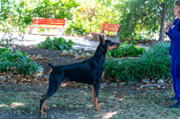20250831-DSC07660