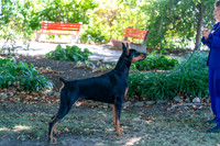 20250831-DSC07662
