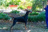 20250831-DSC07661