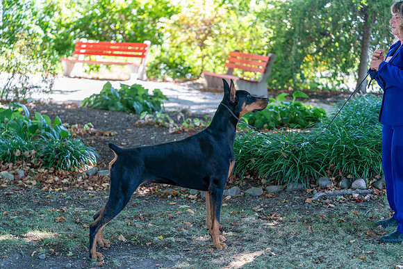 20250831-DSC07661