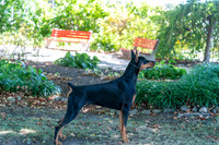 20250831-DSC07664