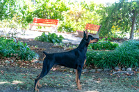 20250831-DSC07665