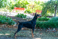 20250831-DSC07666