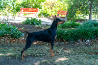 20250831-DSC07671