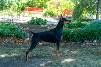 20250831-DSC07673