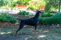 20250831-DSC07677