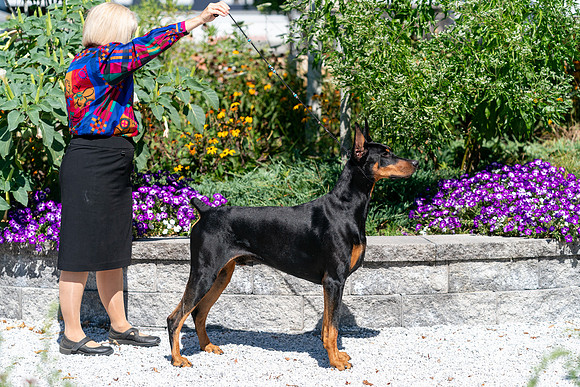 20250831-DSC07773