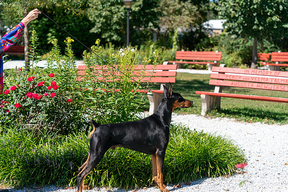 20250831-DSC07835