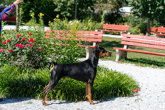 20250831-DSC07841