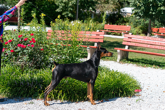 20250831-DSC07844