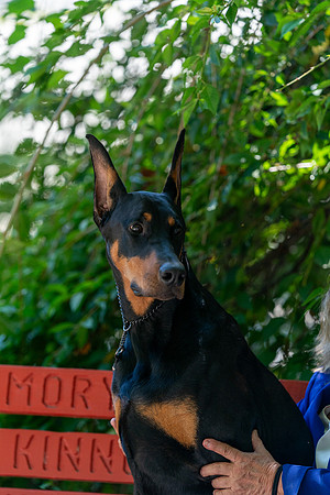 20250831-DSC07962