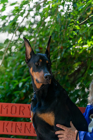 20250831-DSC07963