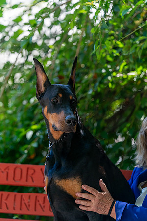 20250831-DSC07964