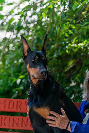 20250831-DSC07965