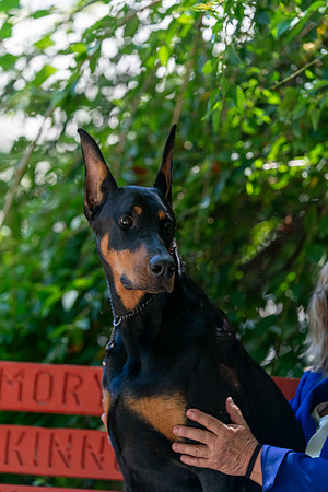 20250831-DSC07966