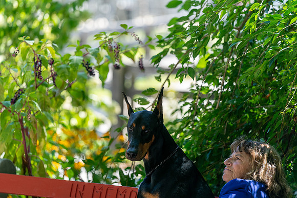 20250831-DSC07991
