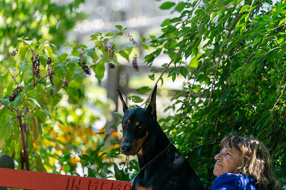 20250831-DSC07992