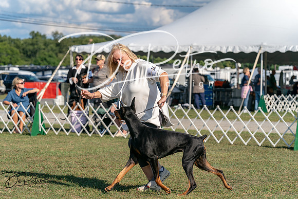 20250828-DSC07692