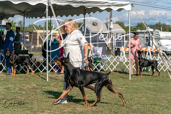 20250828-DSC07722