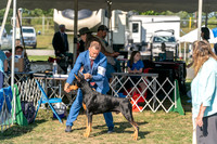 20250828-DSC07565