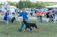 20250828-DSC07583