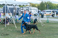 20250828-DSC07589