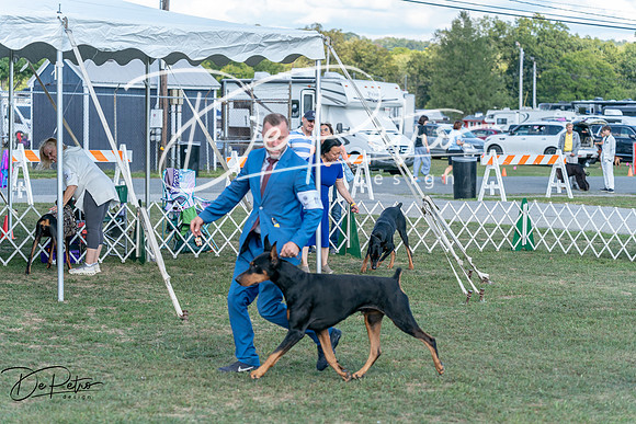 20250828-DSC07589