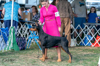 20250828-DSC07603