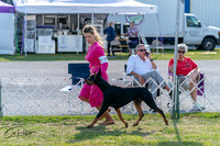 20250828-DSC07609