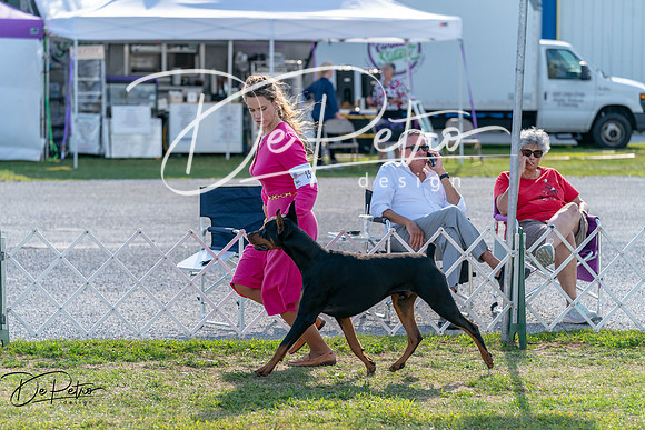 20250828-DSC07609