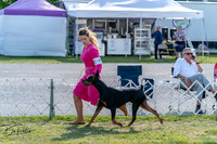 20250828-DSC07614