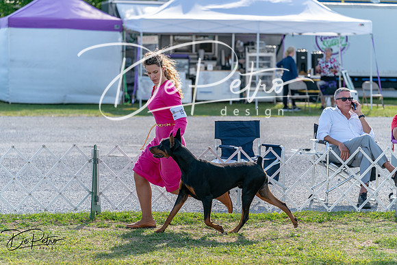20250828-DSC07614