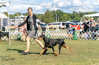 20250828-DSC07630